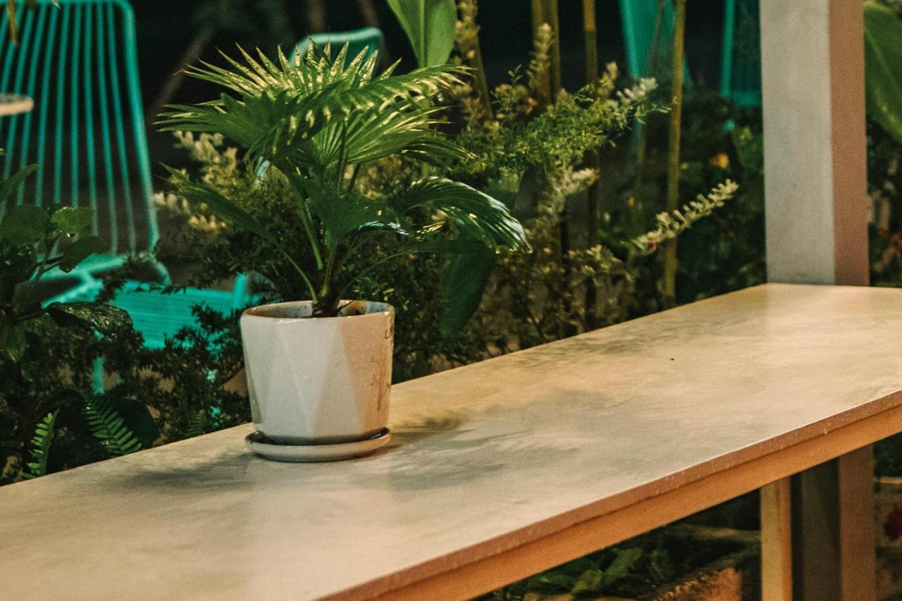 Dai Duong La Gi Homestay & Coffee Kültér fotó